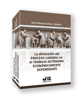 DIMENSION DEL PROCESO LABORAL EN EL TRABAJO AUTONOMO ECONOM - 9788419580924
